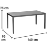 Стол обеденный PACORA (Пакора) серый 160x90 из металла